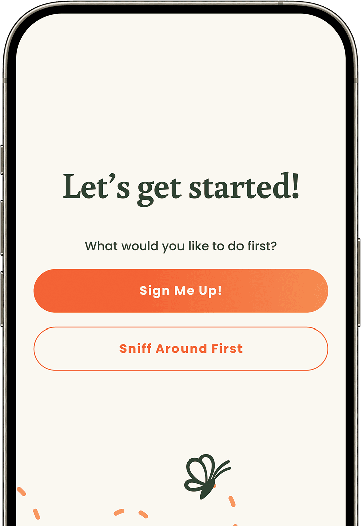 The Handle sign-up screen: Let's get started