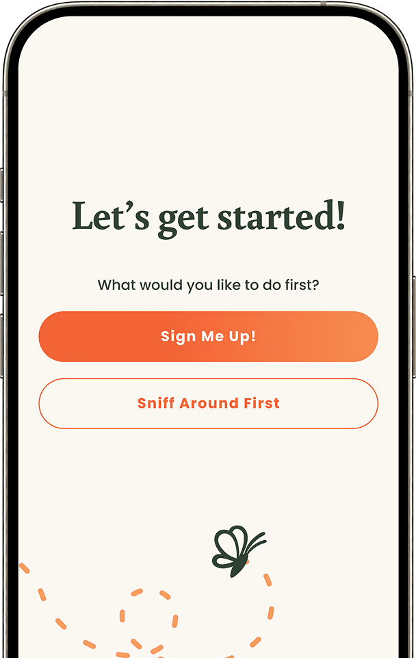 The Handle sign-up screen: Let's get started